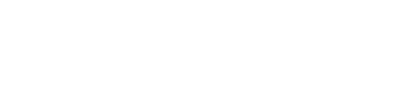 Systemed SAS